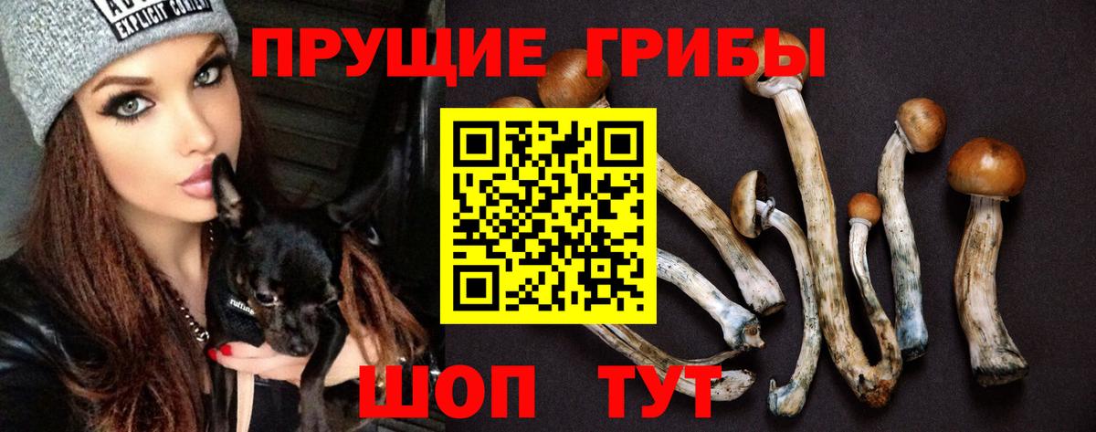 Псилоцибиновые грибы MAGIC MUSHROOMS Надым